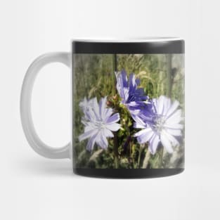 chicory flowers 5 Mug